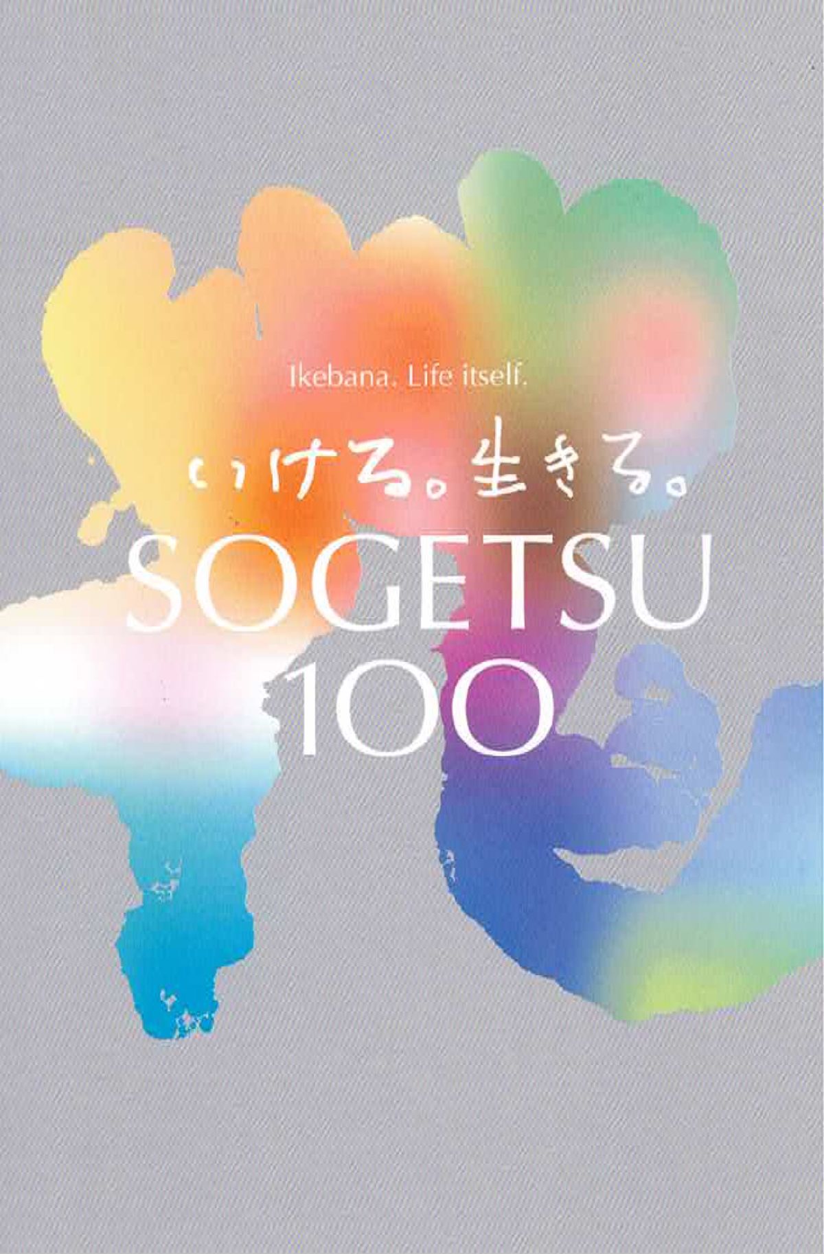 BRWD46A6A2B567F_010501のサムネイル